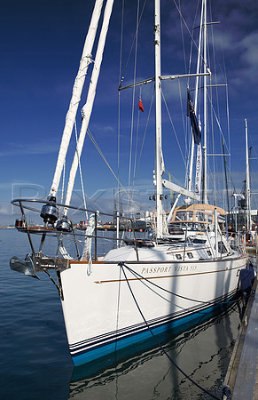 Passport Vista 515