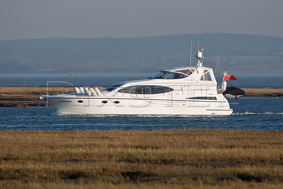 Broom 50  'Jenaveuve'
