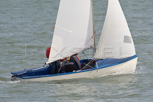 Kestrel off Calshot