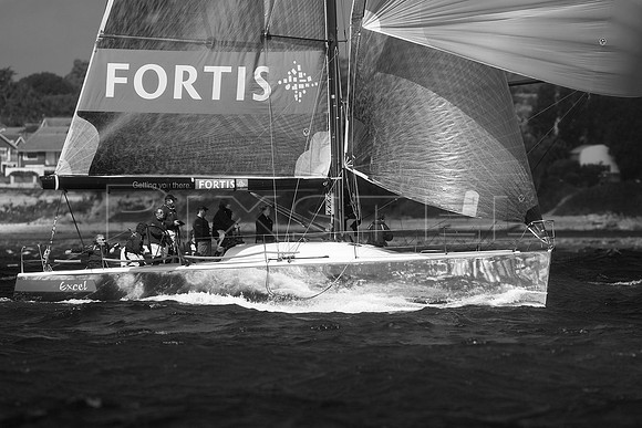 Fortis Excel