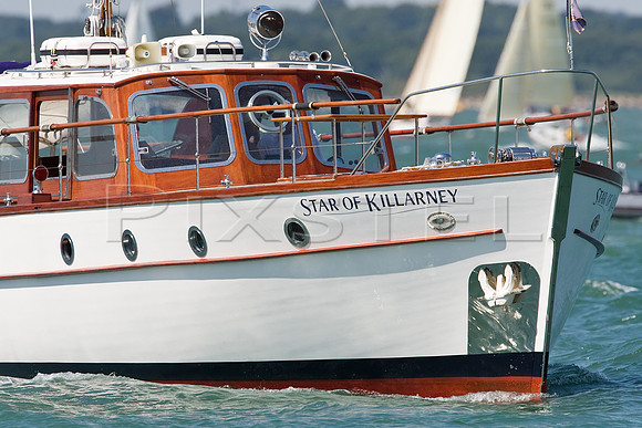 Star of Killarney