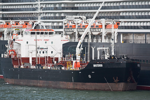 Whitonia & Queen Victoria