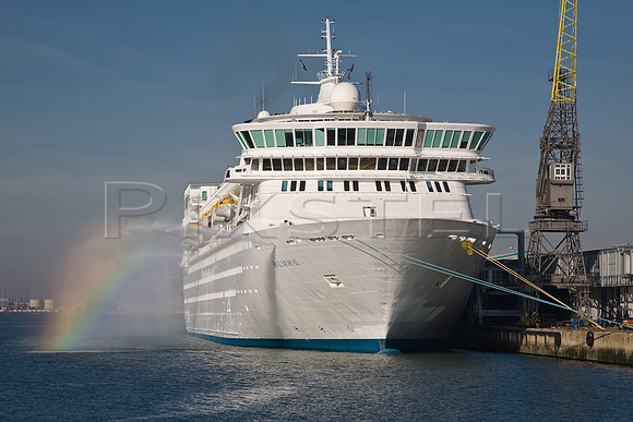 Balmoral Rainbow
