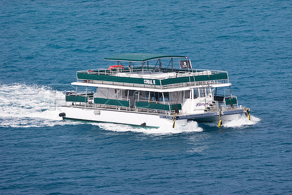 Coral II