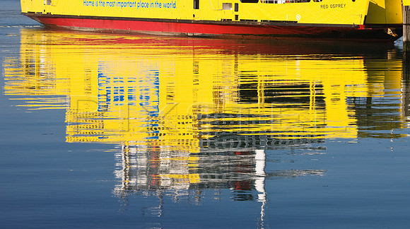 Red Osprey Reflection