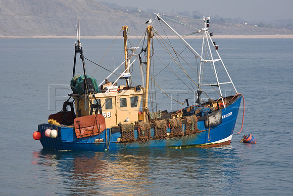 Sea Seeker