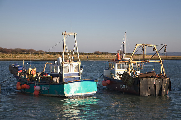 Southern Head and Sea Moke