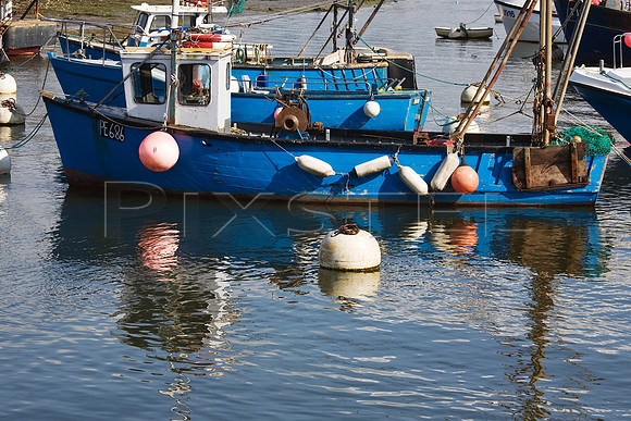 Puddle Duck PE686