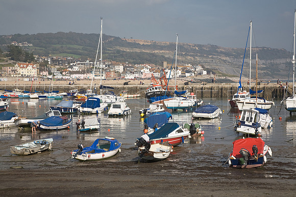 Lyme Regis Harbour