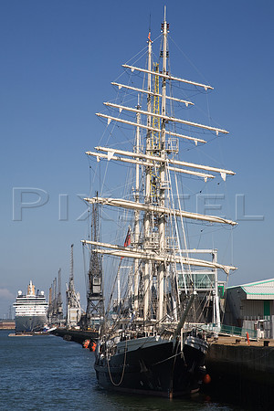 Tenacious in Southampton