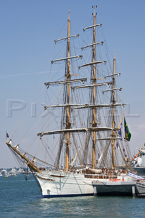 Cisne Branco in Portsmouth