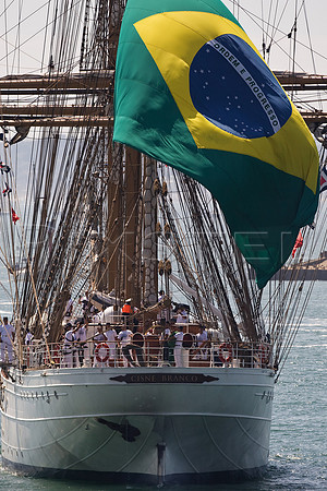 Cisne Branco Flag
