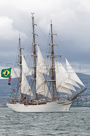 Cisne Branco