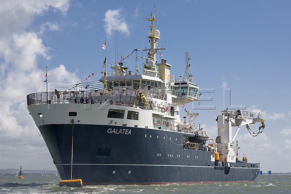 Tender Galatea