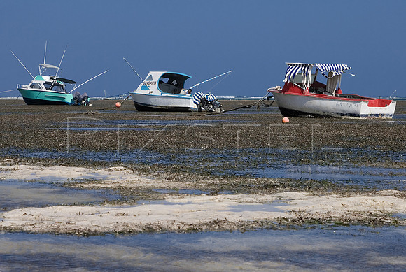 Bamburi Beach