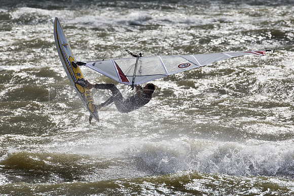 Windsurfer