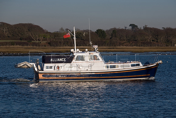 Nelson 'Alliance'