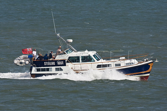 Nelson  42  'Stirling Rose'