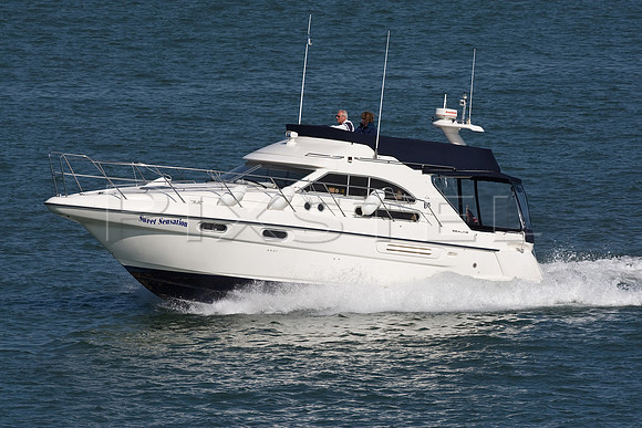 Sealine  'Sweet Sensation'