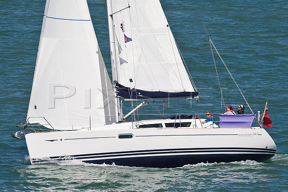Sun Odyssey 'Purple Mist'