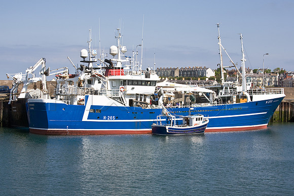 Stefanie M N265