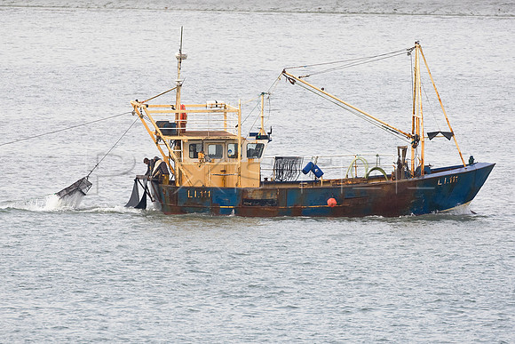Mayfly Dredging Shellfish