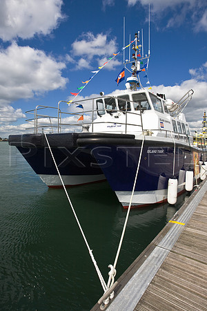 Island Tiger at Seawork