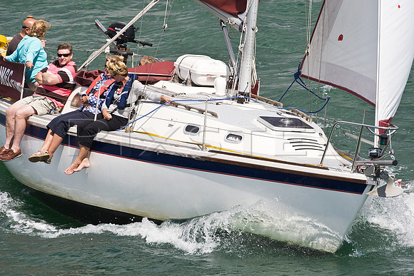 Wings of Hamble