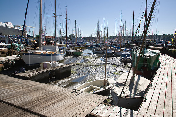 Elephant Boatyard