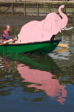 Pink Elephant