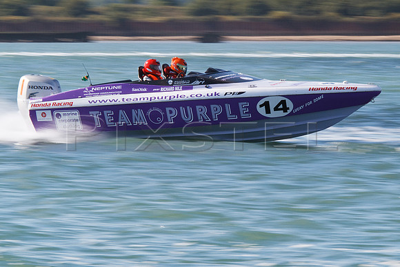 Team Purple