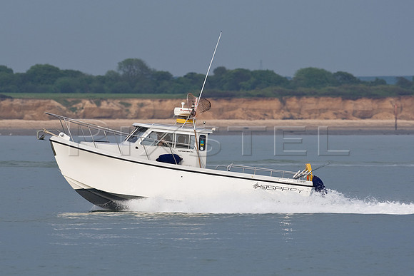 Osprey Expedition 24