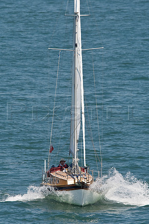 Golden Hind 26