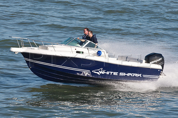 White Shark 237