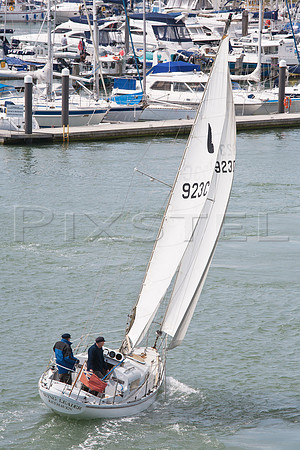 Wing 25 'Wing Leader'