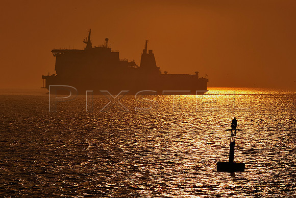 European Seaway at Dawn