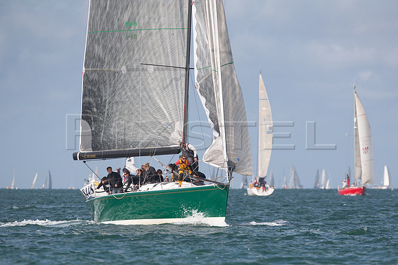 Rebel during Cowes Week