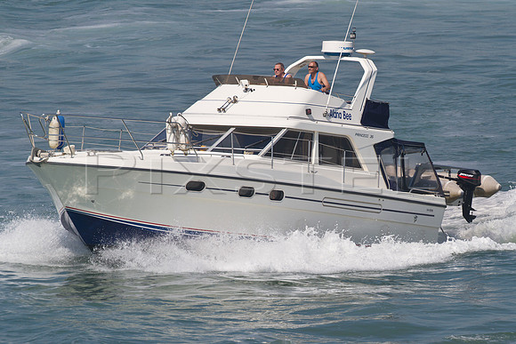 Princess 35 'Alana Bee'