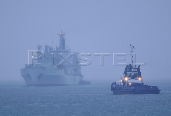 Reefer 'Spring Bob' in Fog