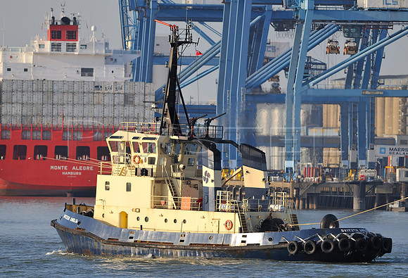 Tug Svitzer Anglia