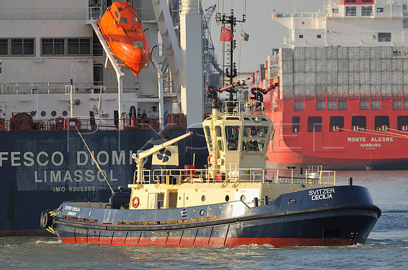 Svitzer Cecilia
