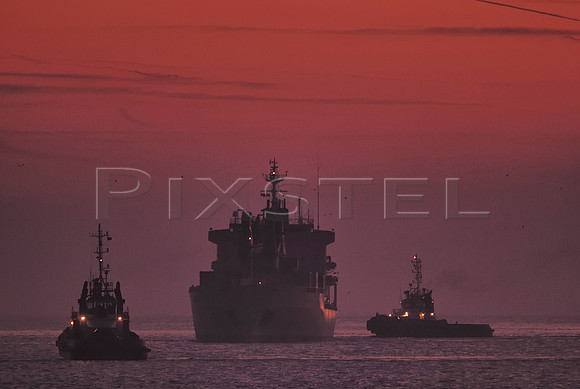 Spring Deli with Tugs
