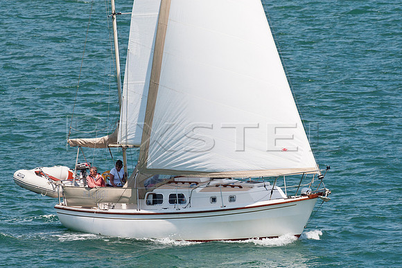 Westerly Renown 'Malindi'