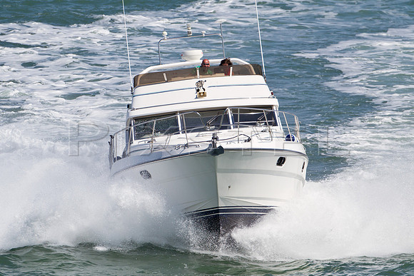 Princess 410