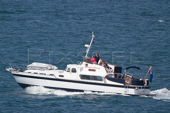 Hagg 48 'Suzianna'