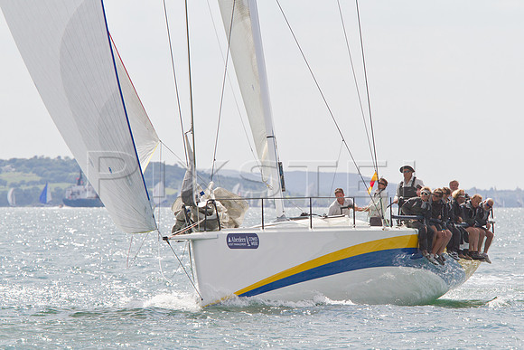 Oystercatcher XXVIII