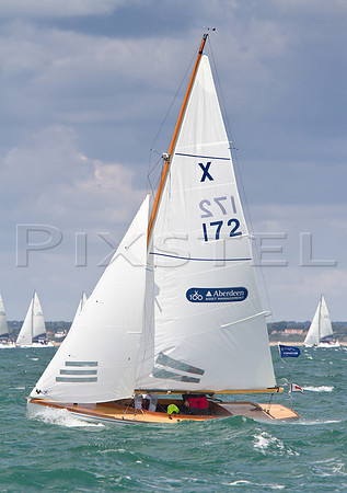 XOD 'Lizz Whizz'