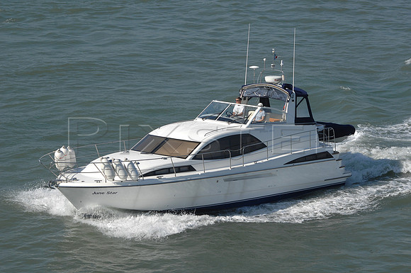 Broom 425 'June Star'