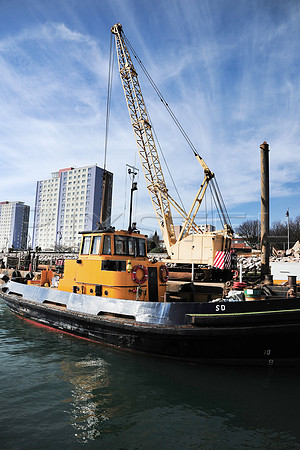Kitty at Gosport Landing