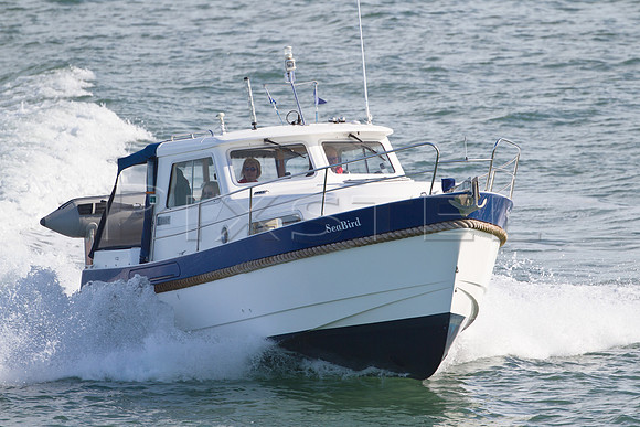 Hardy Mariner 'Seabird'